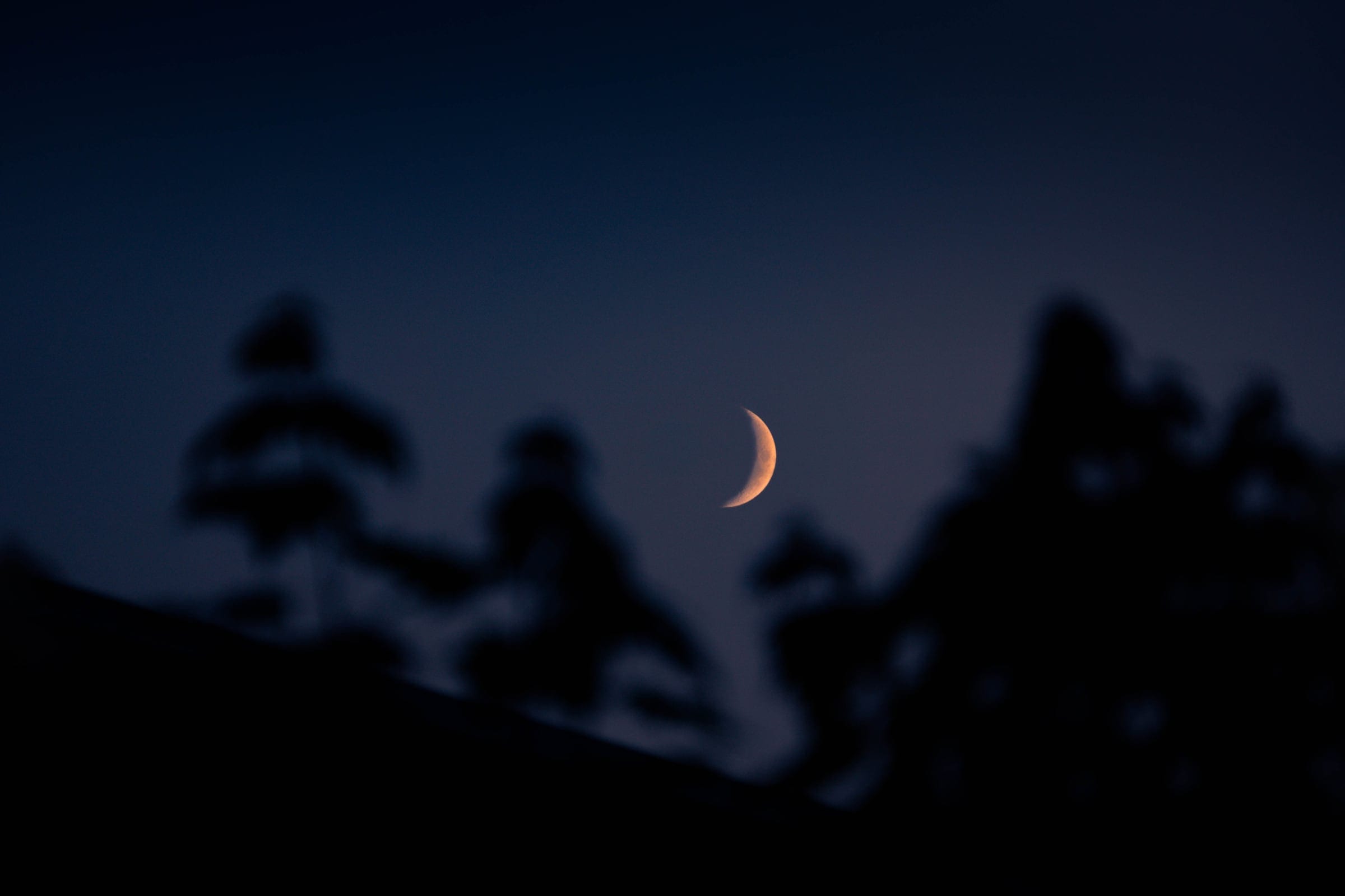 A thin orange crescent moon in a deep blue sky, soft silhouettes of trees below.