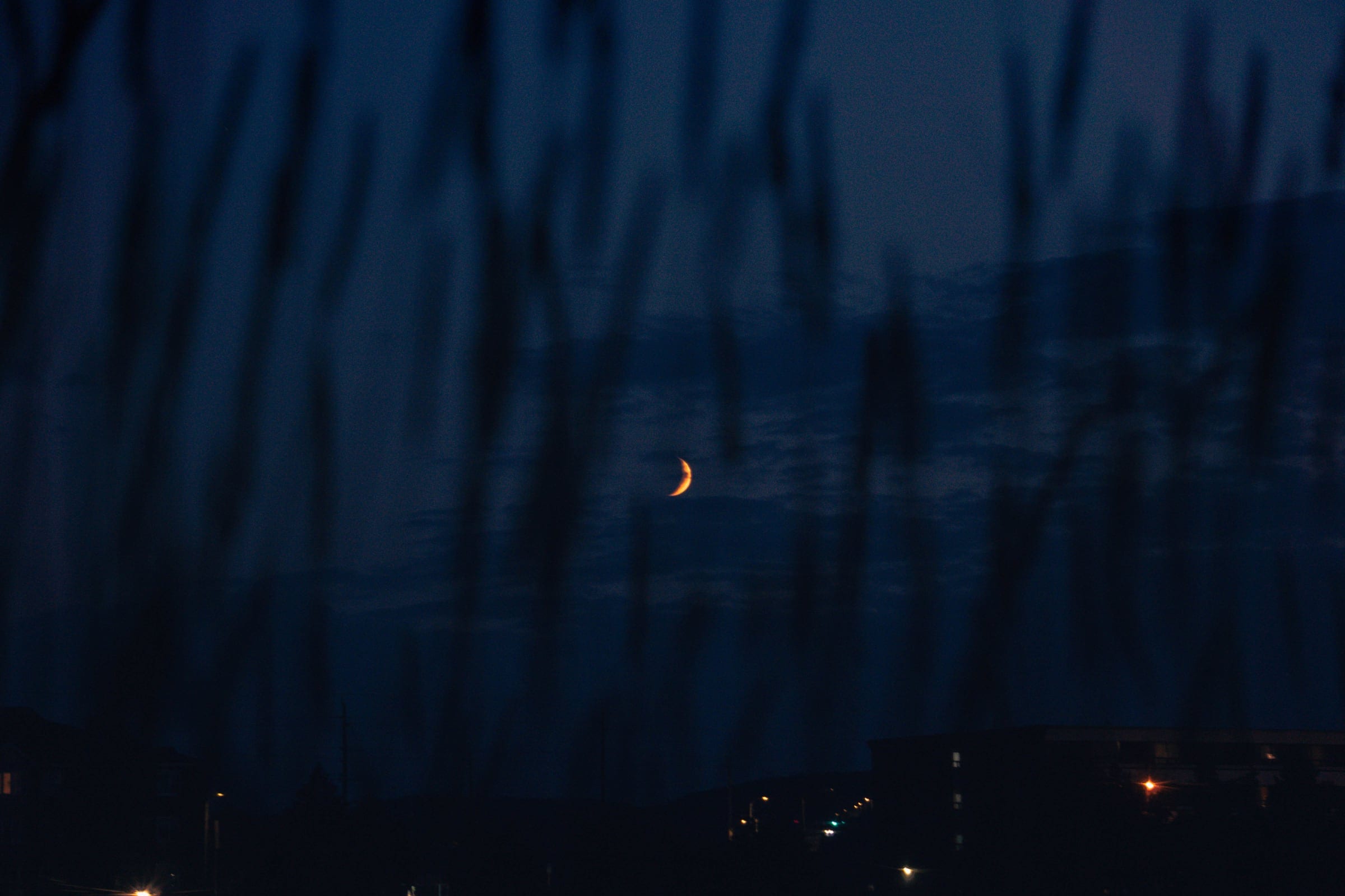 A small crescent moon seen through blurred reeds, distant lights along the shore.