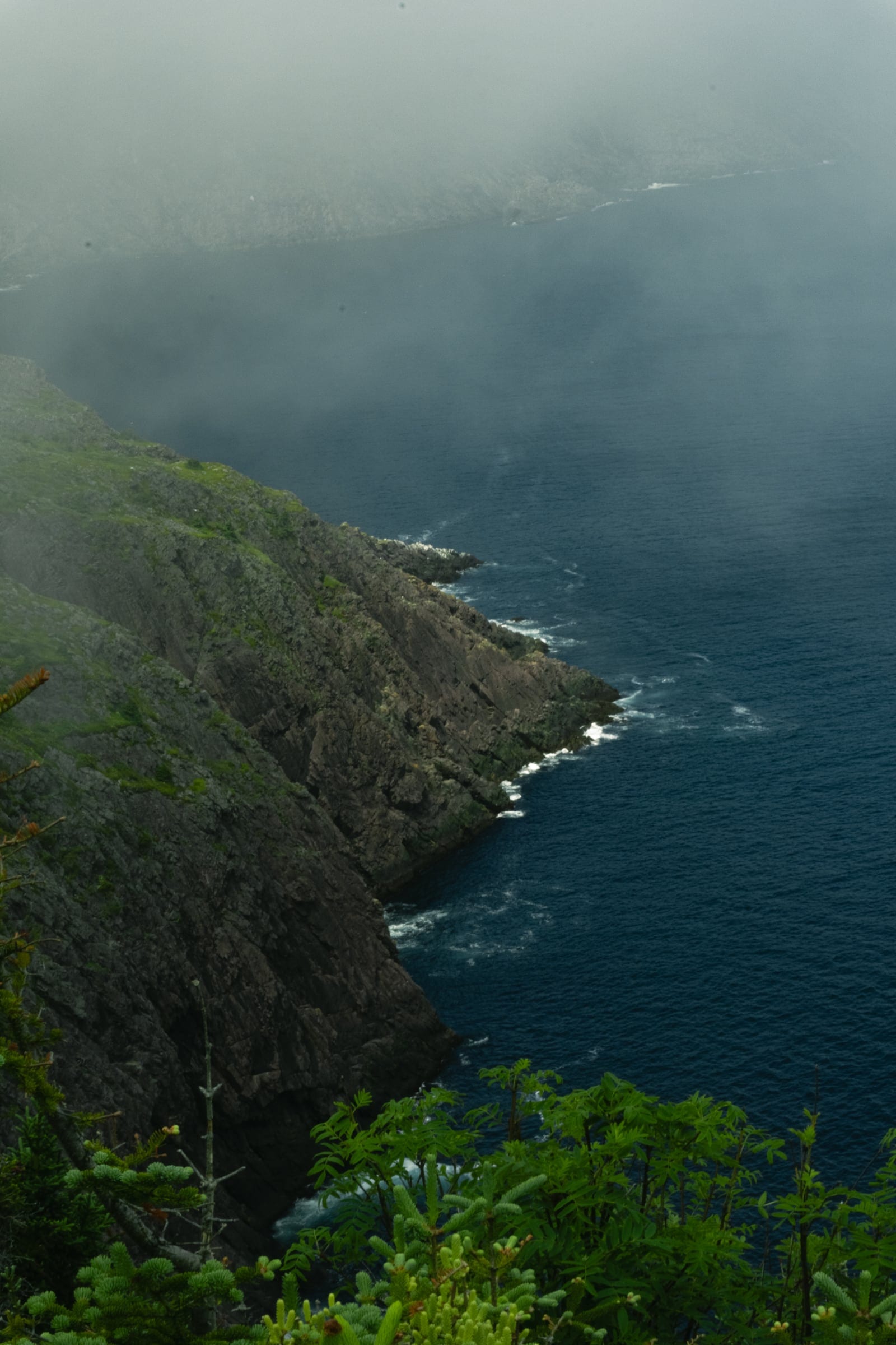 A steep green cliff falling to dark blue sea, with fog pouring over the headland.