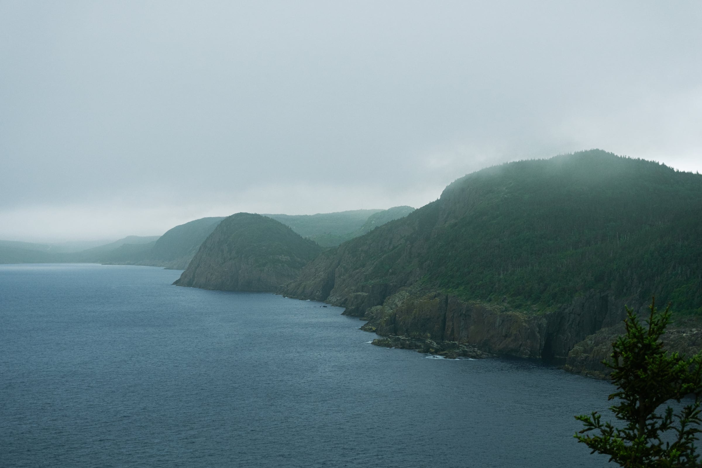 Forested headlands stepping away along a grey coast under low mist.