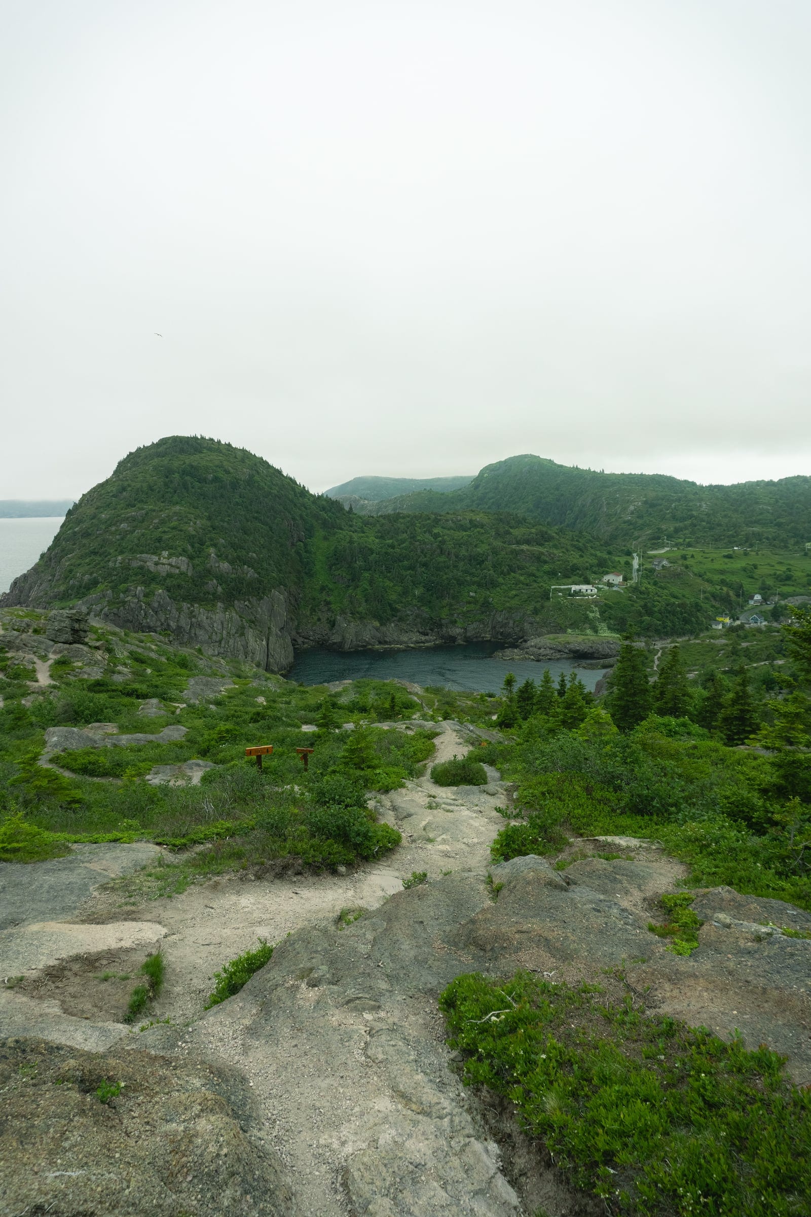 A rocky trail descending through green scrub toward a headland and the sea.
