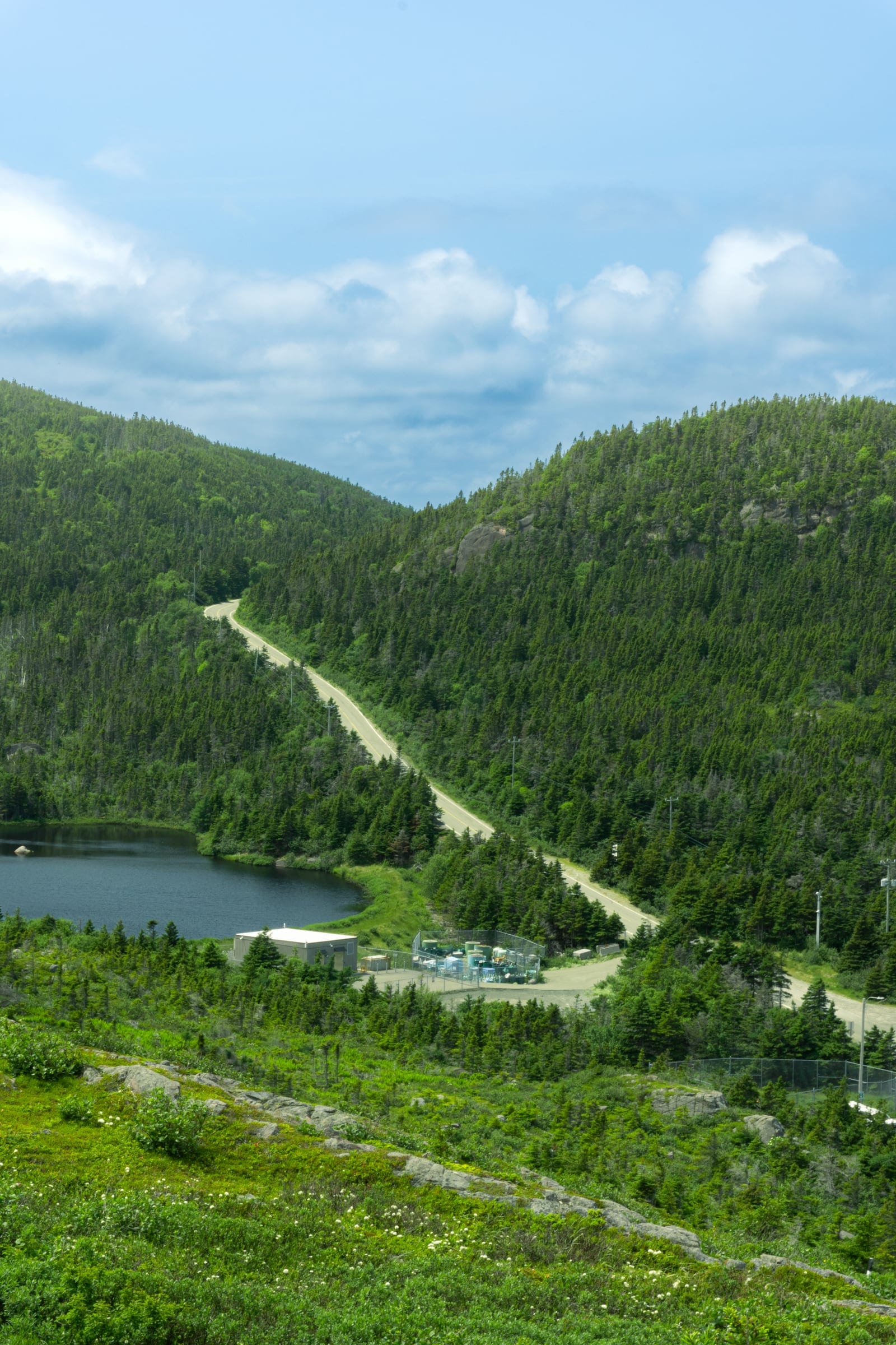 A green forested valley with a small pond and a road winding down to the coast.