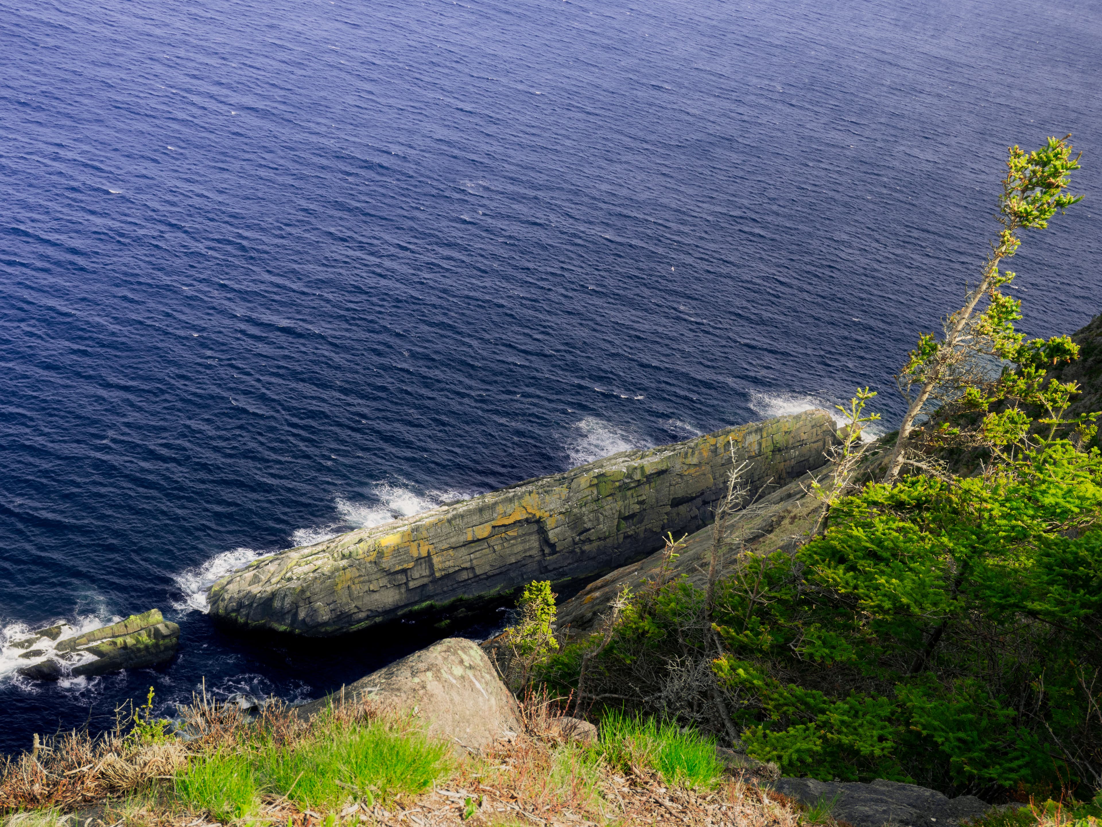 Spout Path — East Coast Trail · Bay Bulls, NL